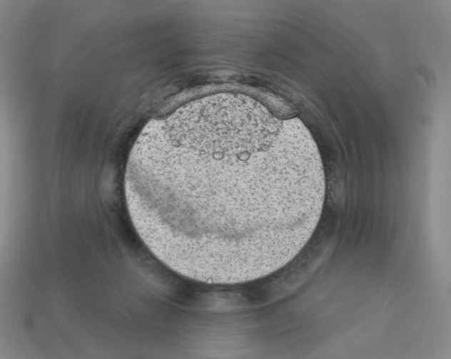 X0000112780270200910011304