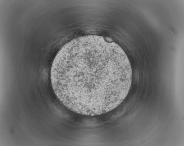 X0000112780271200910011304