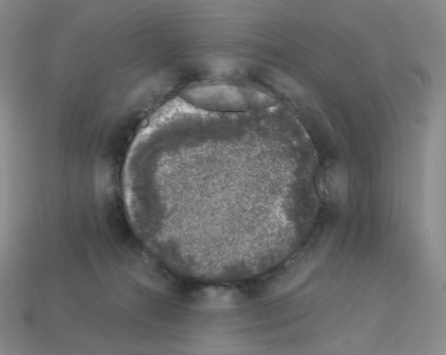 X0000112780272200910011304