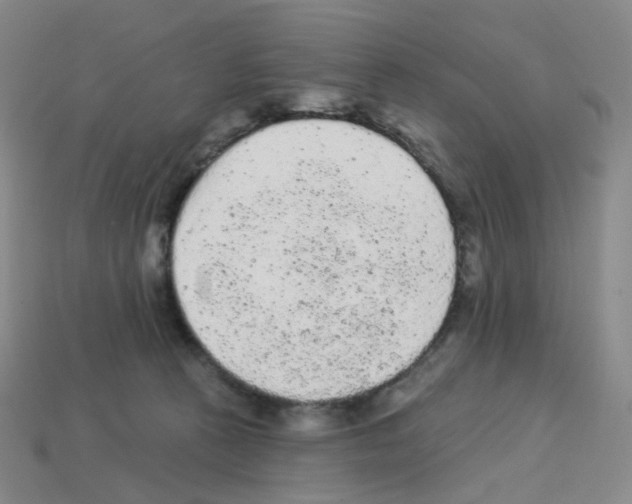 X0000112780273200910011304