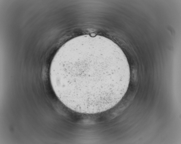 X0000112780274200910011304