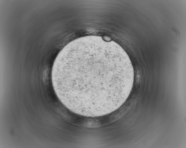 X0000112780275200910011304