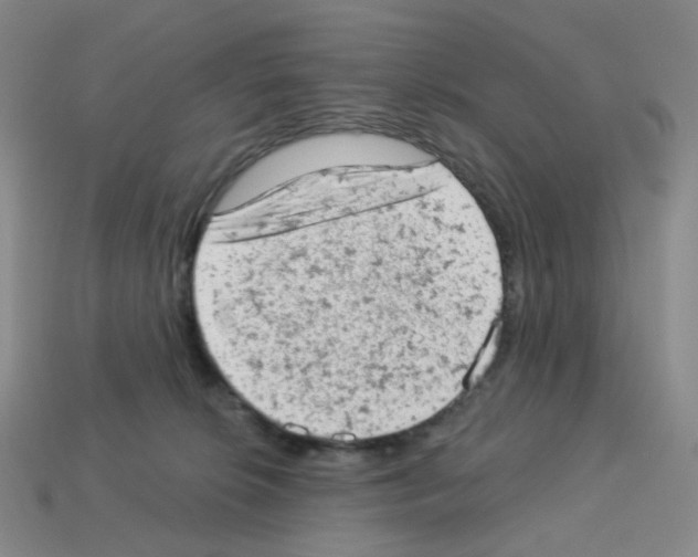 X0000112780276200910011304