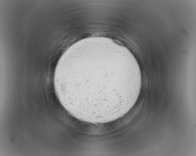 X0000112780277200910011304