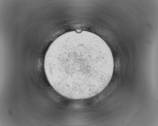 X0000112780278200910011304