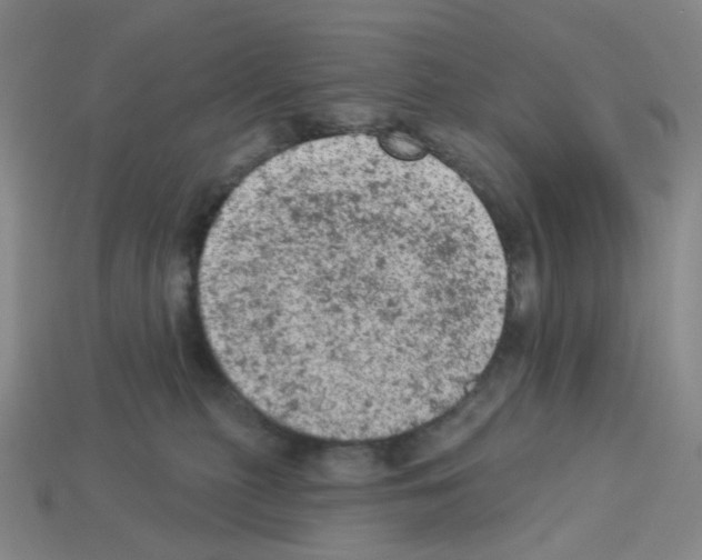 X0000112780279200910011304