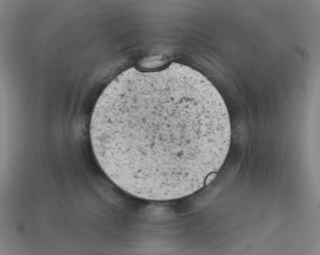 X0000112780280200910011304