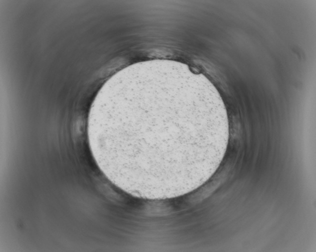 X0000112780281200910011304