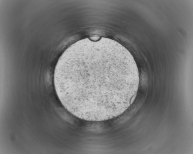 X0000112780282200910011304