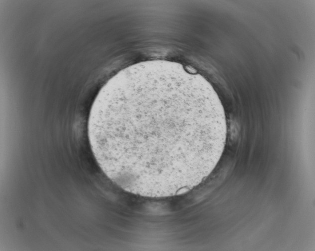 X0000112780283200910011304