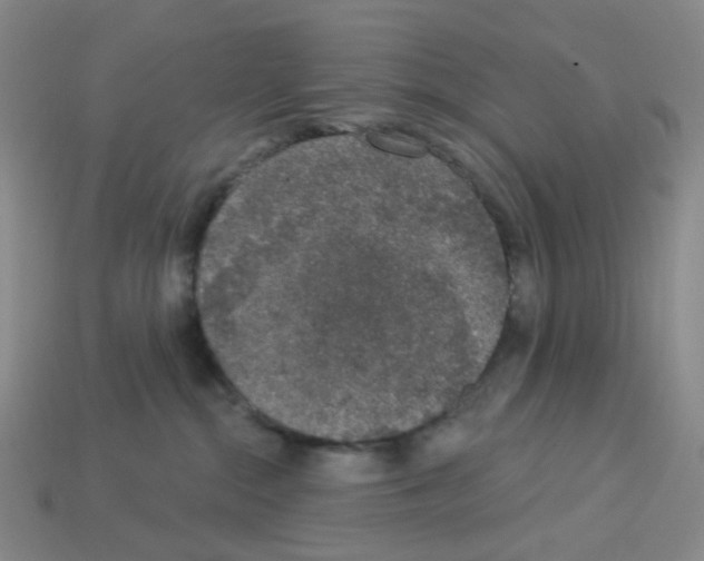 X0000112780284200910011304