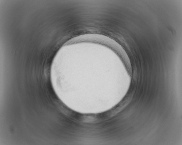 X0000112780285200910011304