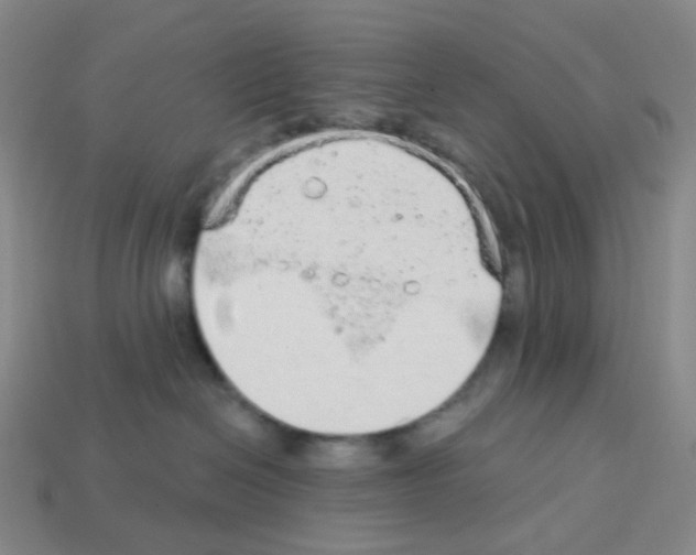 X0000112780286200910011304