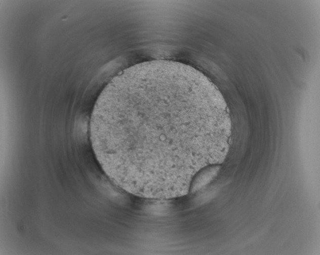 X0000112780288200910011304