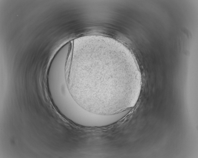 X0000112780289200910011303