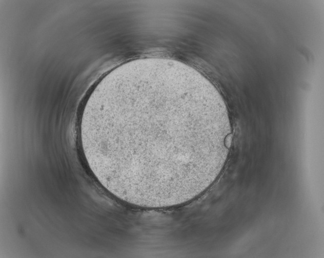 X0000112780290200910011303