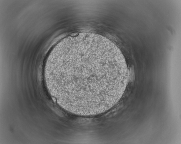 X0000112780291200910011303