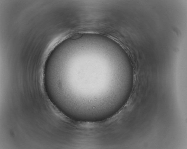 X0000112780293200910011303