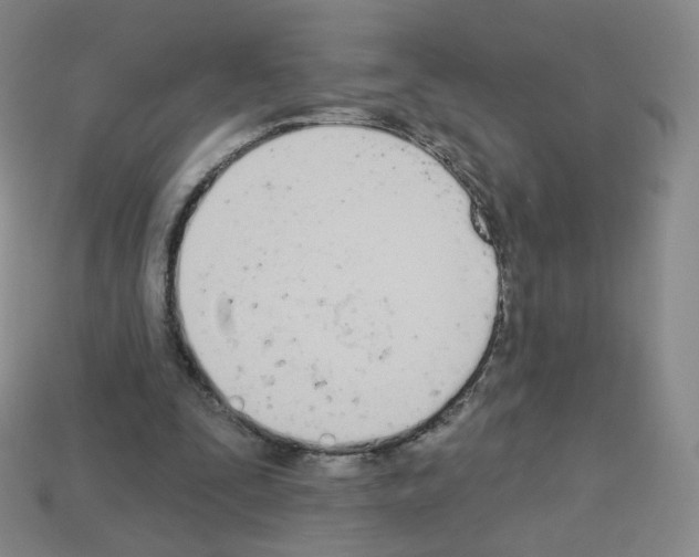 X0000112780295200910011303