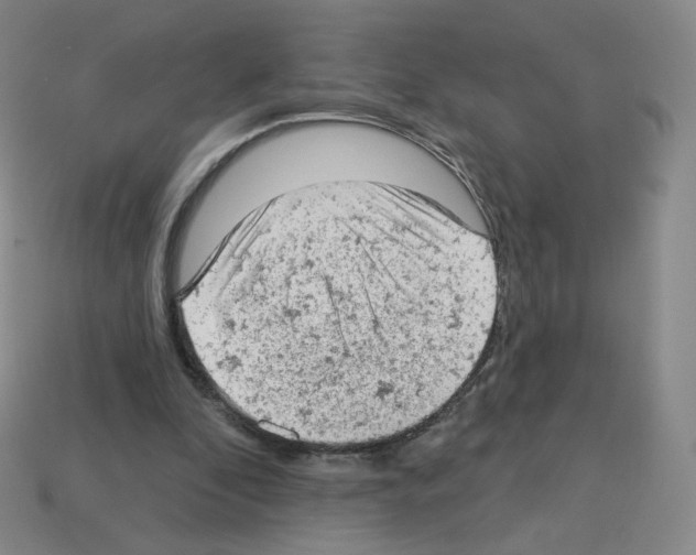 X0000112780296200910011303