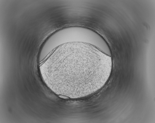 X0000112780297200910011303