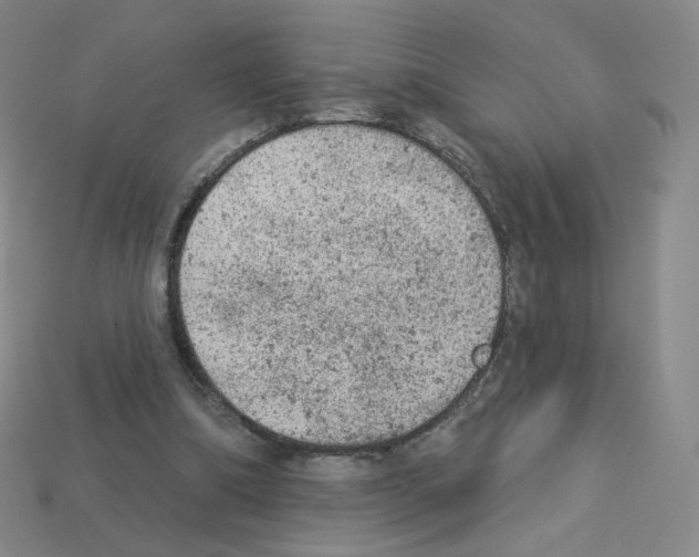 X0000112780298200910011303