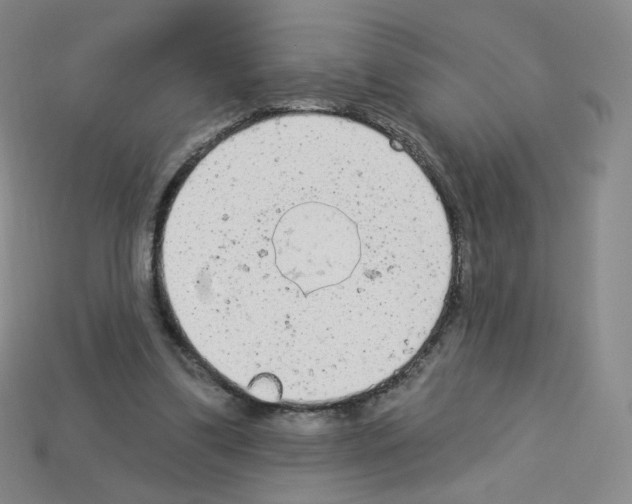 X0000112780299200910011303