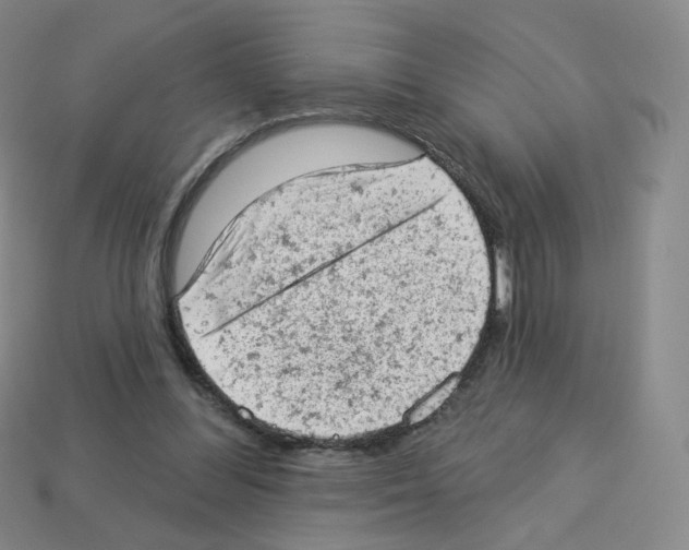 X0000112780300200910011303