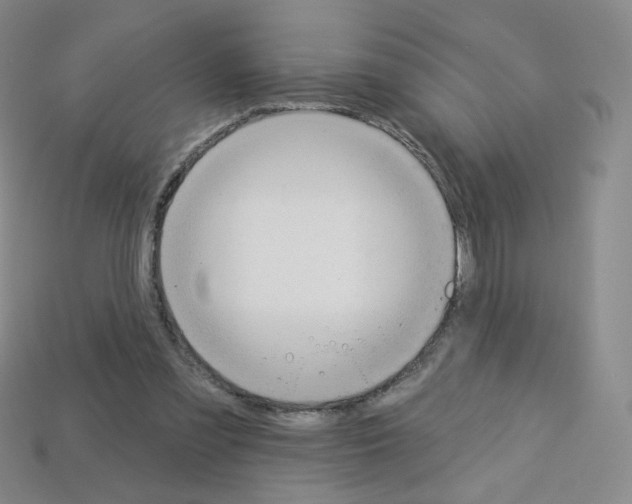 X0000112780301200910011303