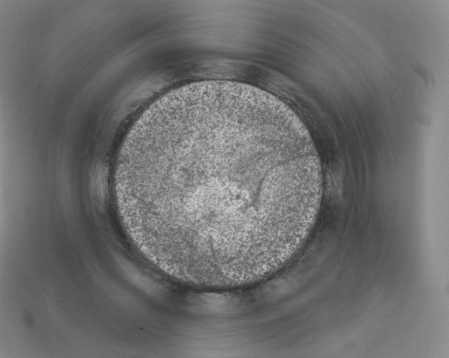 X0000112780302200910011303