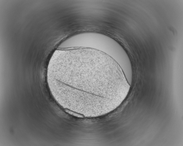 X0000112780305200910011303