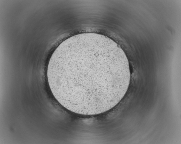 X0000112780306200910011303