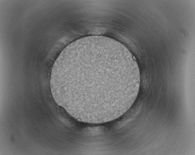 X0000112780307200910011303