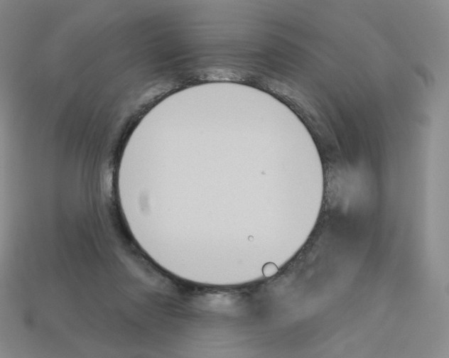 X0000112780310200910011303