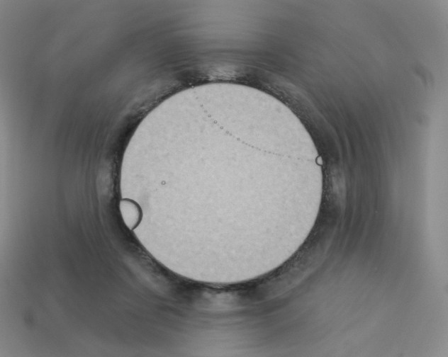 X0000112780311200910011303