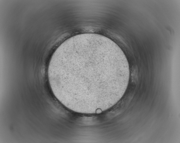 X0000112780314200910011303