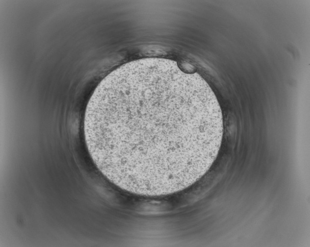 X0000112780315200910011303