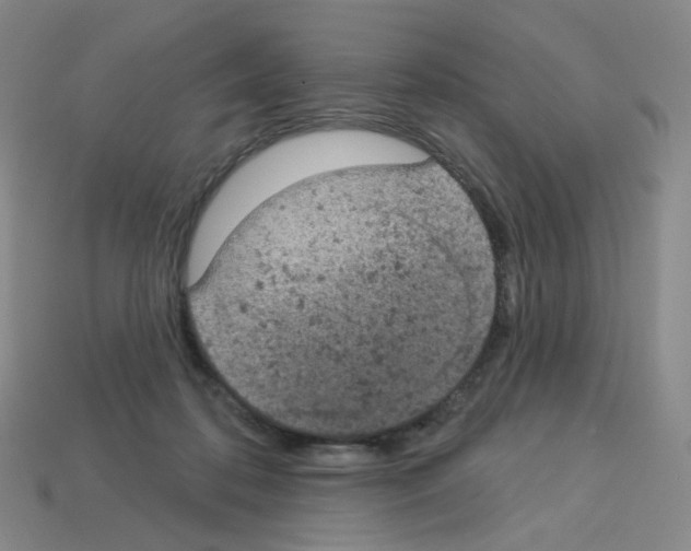 X0000112780316200910011303