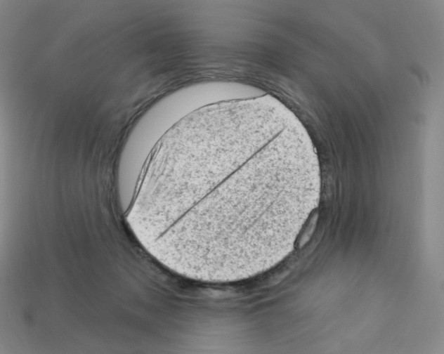 X0000112780317200910011303