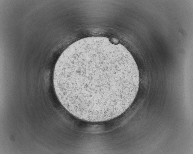 X0000112780319200910011303