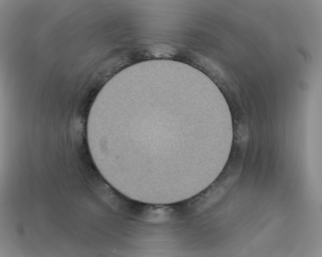 X0000112780321200910011303