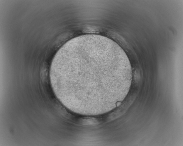 X0000112780322200910011303