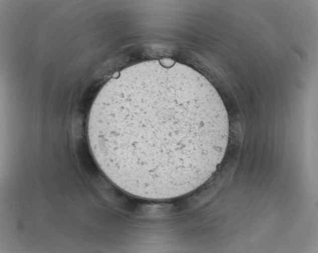 X0000112780323200910011303