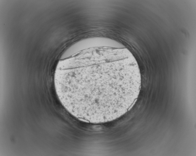 X0000112780324200910011303