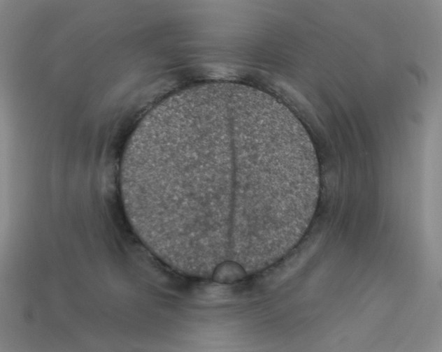 X0000112780325200910011303