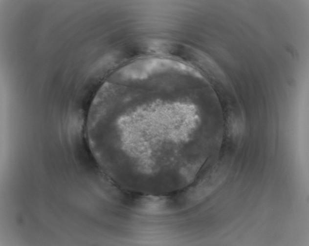 X0000112780328200910011303