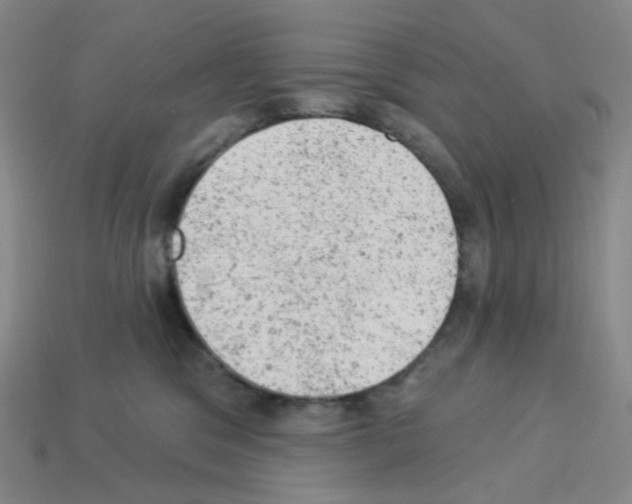 X0000112780329200910011303