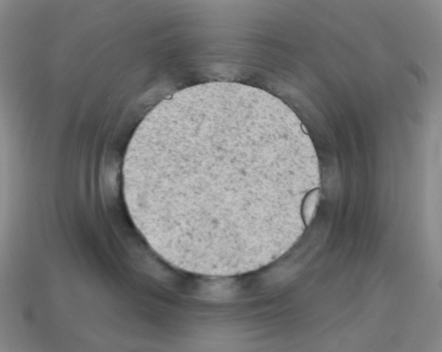 X0000112780334200910011303