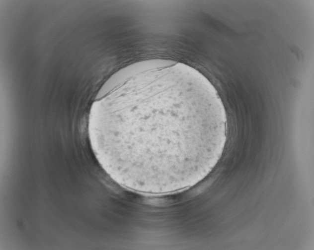 X0000112780336200910011302