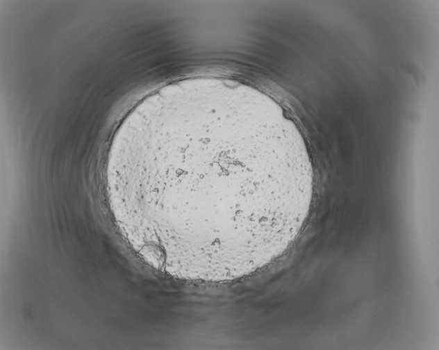 X0000112780337200910011302